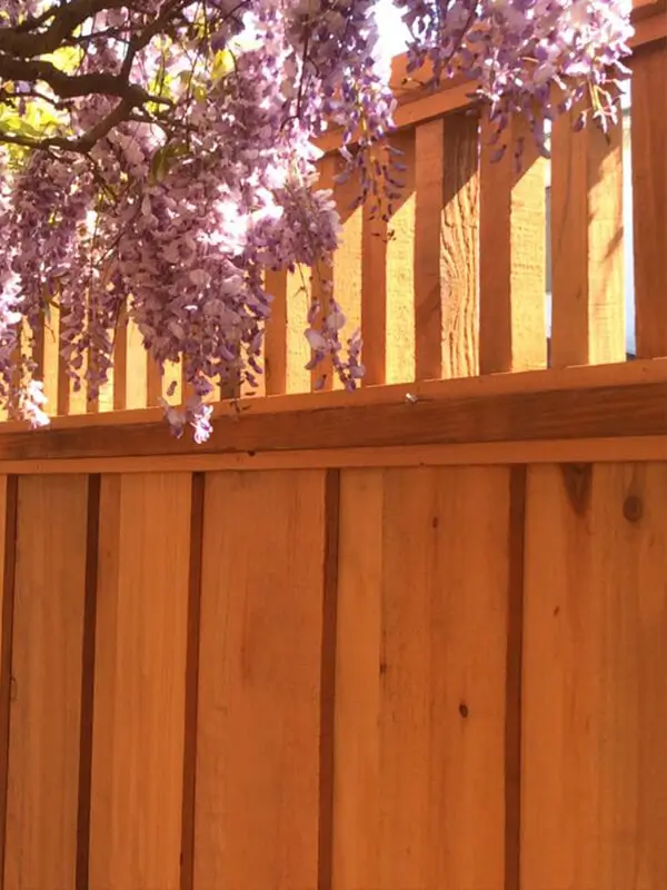 Privacy wood fence decorative accent top