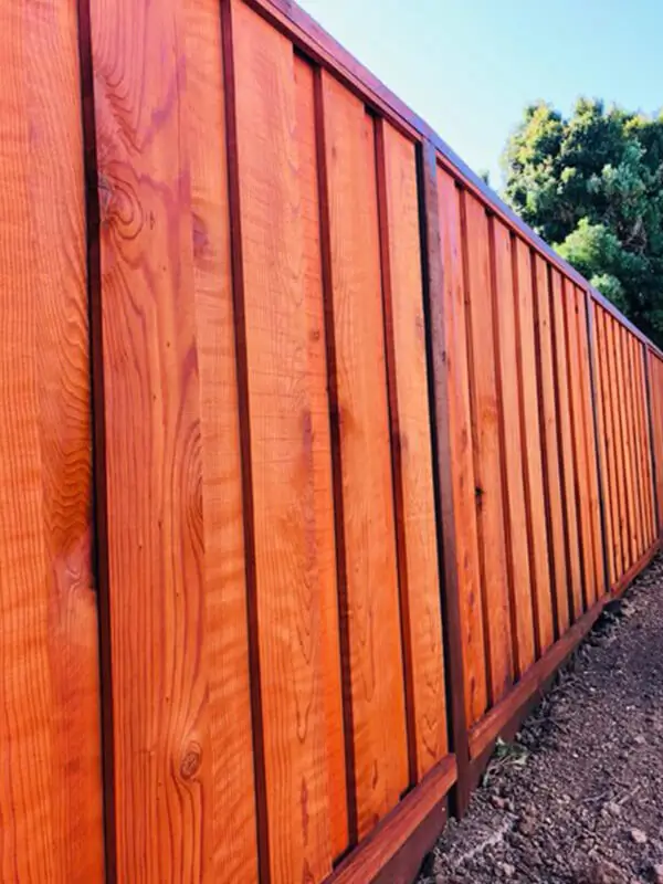 Stained wood board on board fence