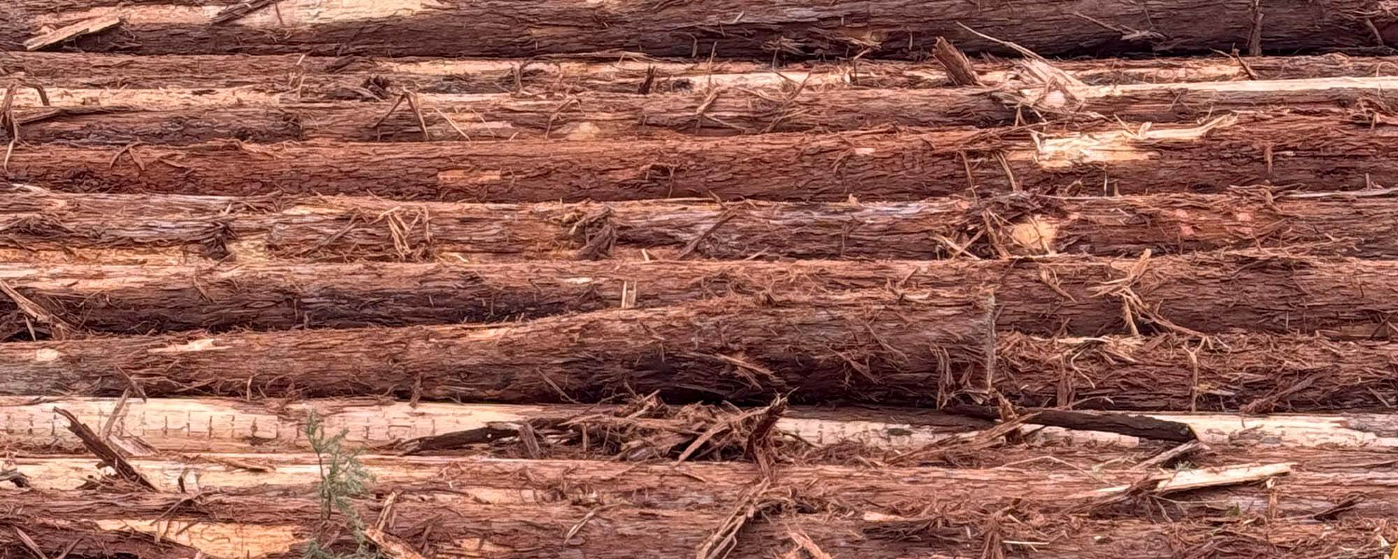 Redwood logs for fences
