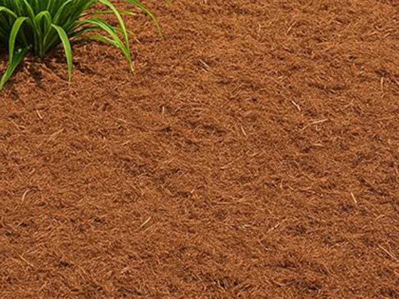 wood bark supplier from Sequoia Forest Products