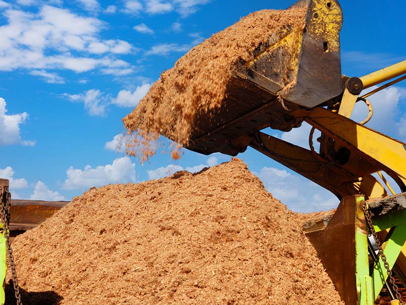 wood sawdust from Sequoia Forest Products