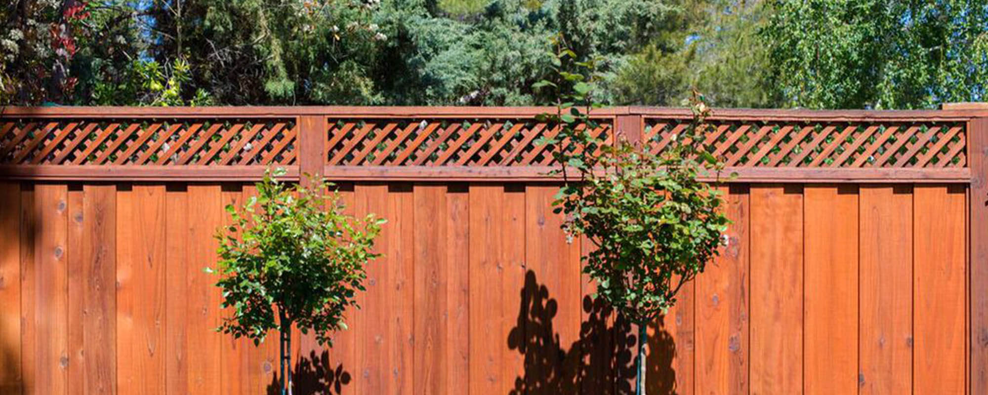 Redwood fence with decorative lattice